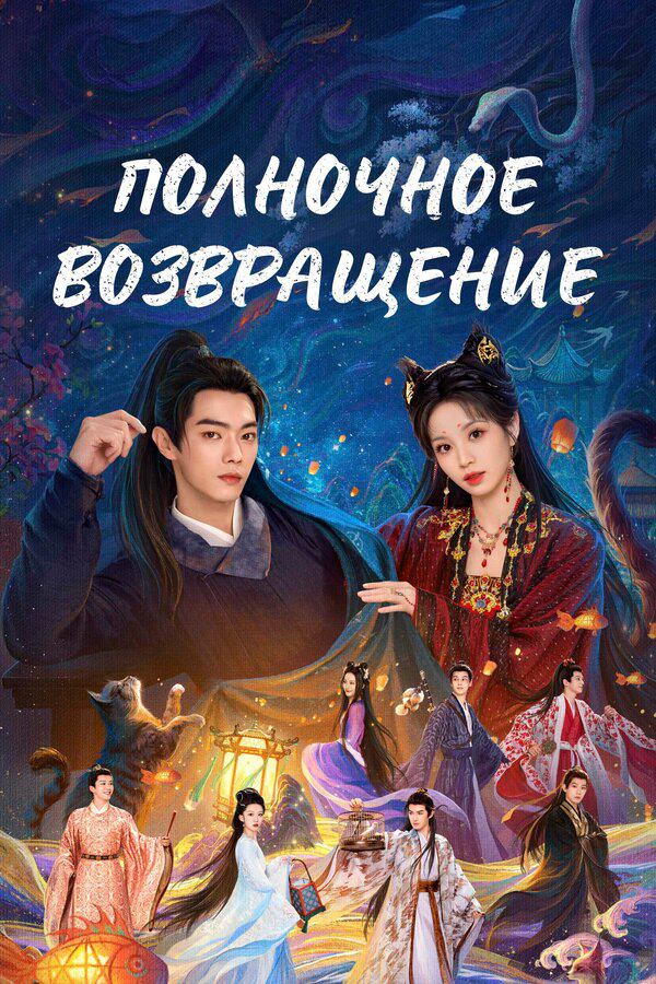 Полночное возвращение - постер